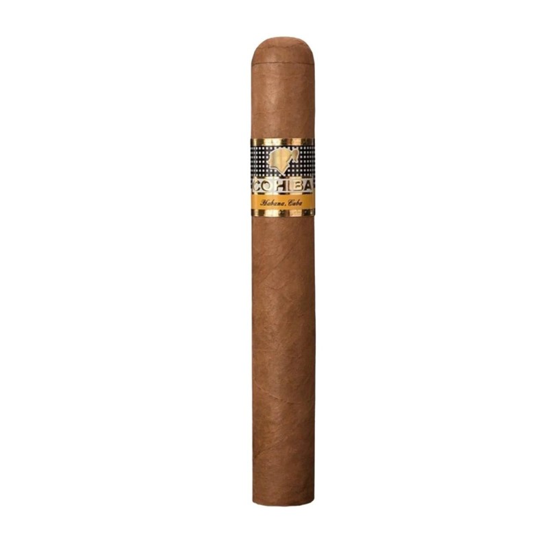 Cohiba Siglo VI – Étui de 10 Cigares Cubains